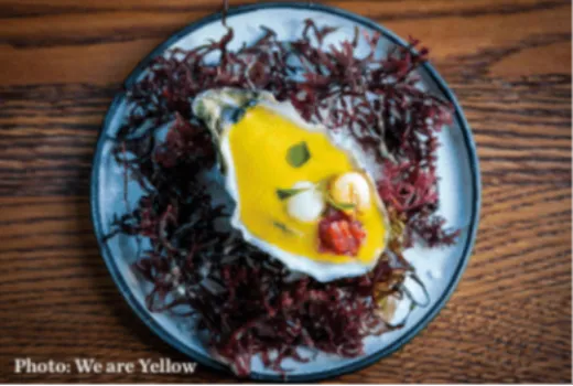 Descripción de la imagen